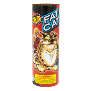FAT CAT