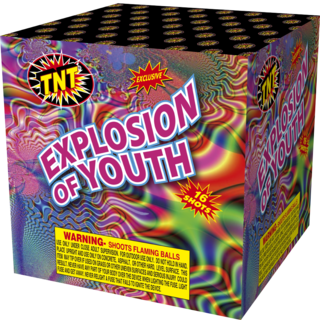 Explosion of Youth Firework Aerial Finale Explosion Of Youth