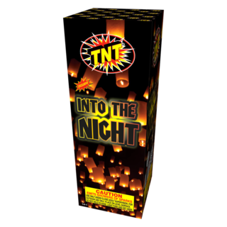 Into the Night Into the Night