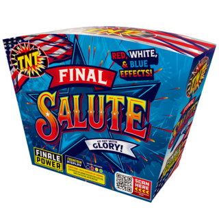 Firework Fountains Final Salute