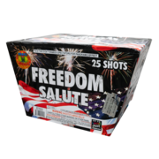 FREEDOM SALUTE